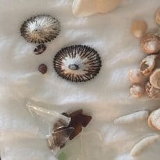 mans-trash-mans-treasure-3 The Journey of Beach Glass