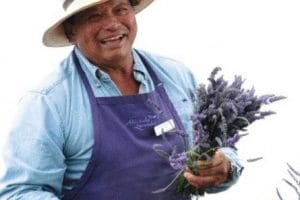 Lavendar Farm Lavendar Farm