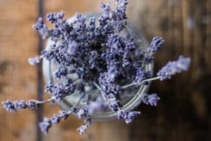 Lavendar Farm Lavendar Farm