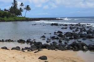 Baby Beach Baby Beach