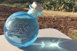 008 Ocean Vodka