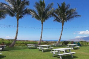 Hawaiian-Sea-Spirts-Organic-Farm-Maui-by-Madelyn-Kittle-4 Ocean Vodka