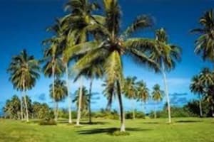 Kahanu Garden & Preserve Kahanu Garden & Preserve