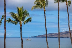 Sugar beach Sugar beach