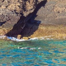 Molokini Snorkeling