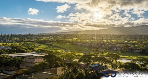 How to Explore Maui Like a Local