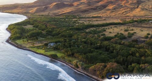 Exploring Mauis Upcountry